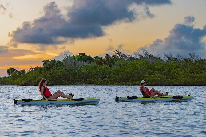 National Park Pedal Kayak Tours in New Smyrna Beach - The Itinerary: What You Can Expect