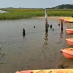 National Seashore Tour with Guided Hike - Who Will Enjoy This Tour Most?