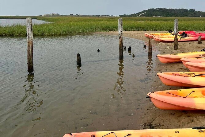 National Seashore Tour with Guided Hike - Who Will Enjoy This Tour Most?
