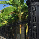 New Orleans: 45 Minutes in Jackson Square - What to Expect During the Tour