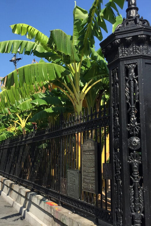 New Orleans: 45 Minutes in Jackson Square - What to Expect During the Tour