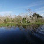 New Orleans: Airboat or Pontoon Boat Cruise with Transfers - Who Will Love This Tour?