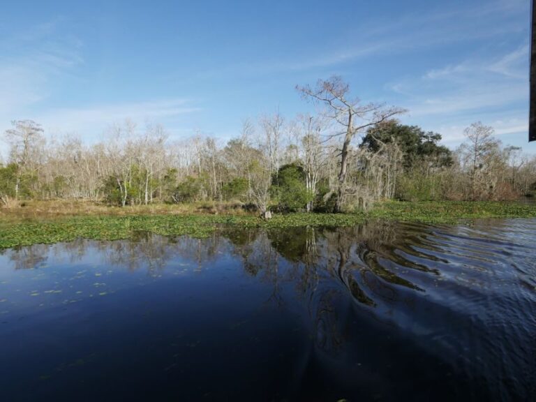New Orleans: Airboat or Pontoon Boat Cruise with Transfers - Who Will Love This Tour?