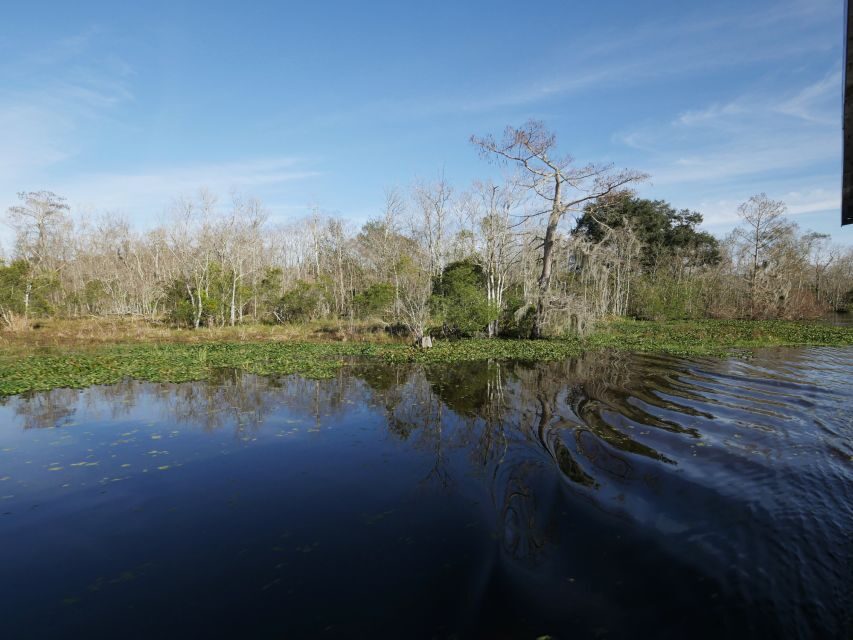 New Orleans: Airboat or Pontoon Boat Cruise with Transfers - Who Will Love This Tour?