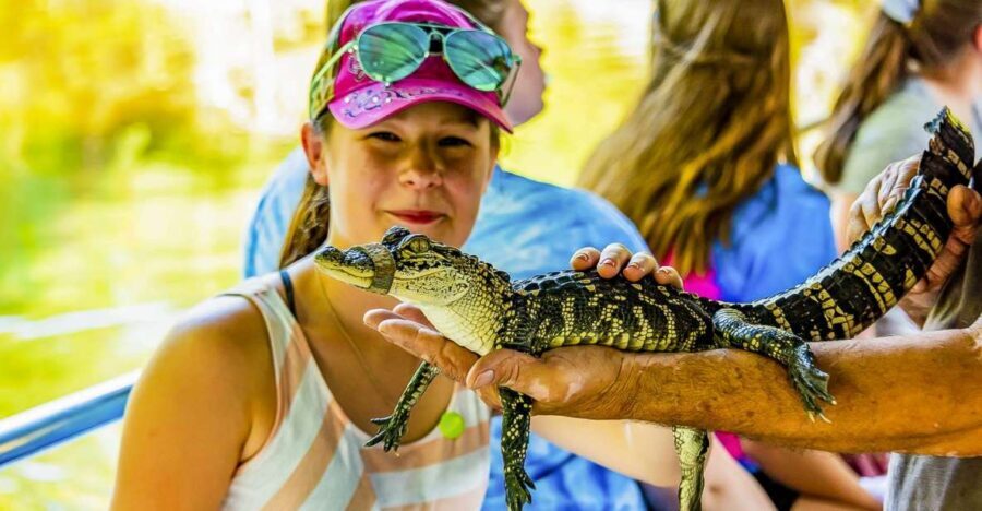 New Orleans: Bayou Swamp Tour and Oak Alley Plantation Tour - What’s Included and What’s Not