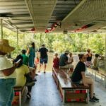 New Orleans: Bayou Tour in Jean Lafitte National Park - Authenticity and the Value of Local Guides
