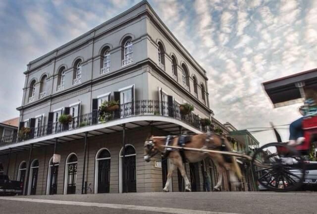 New Orleans Insider 2-Hour Walking Tour - Why This Tour is Worth Considering
