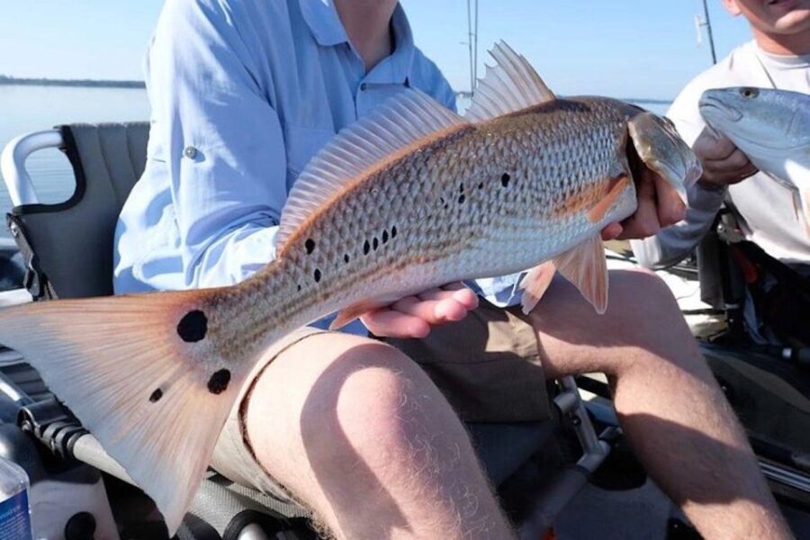 New Orleans: Kayak Fishing Charter in Bayou Bienvenue - Practical Tips for Your Kayak Fishing Adventure