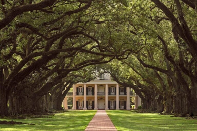 New Orleans: Oak Alley Plantation Half Day Tour - Transportation and Comfort