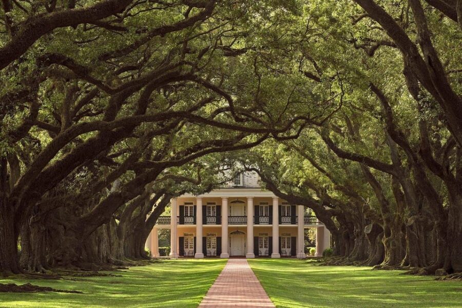 New Orleans: Oak Alley Plantation Half Day Tour - Transportation and Comfort