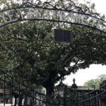 New Orleans Private Vehicle City Tour - Exploring the Itinerary in Detail
