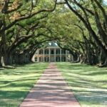 New Orleans: Single Plantation and Pontoon Swamp Day Trip - What’s Included and What to Keep in Mind