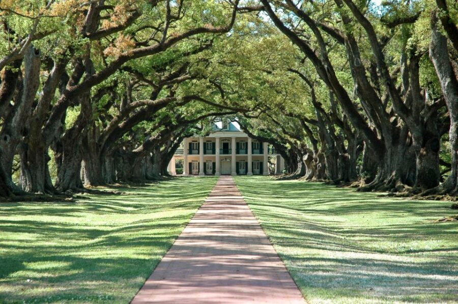 New Orleans: Single Plantation and Pontoon Swamp Day Trip - What’s Included and What to Keep in Mind