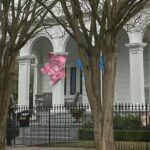 New Orleans Small Group Garden District History and Architecture Tour - Practicalities and Value