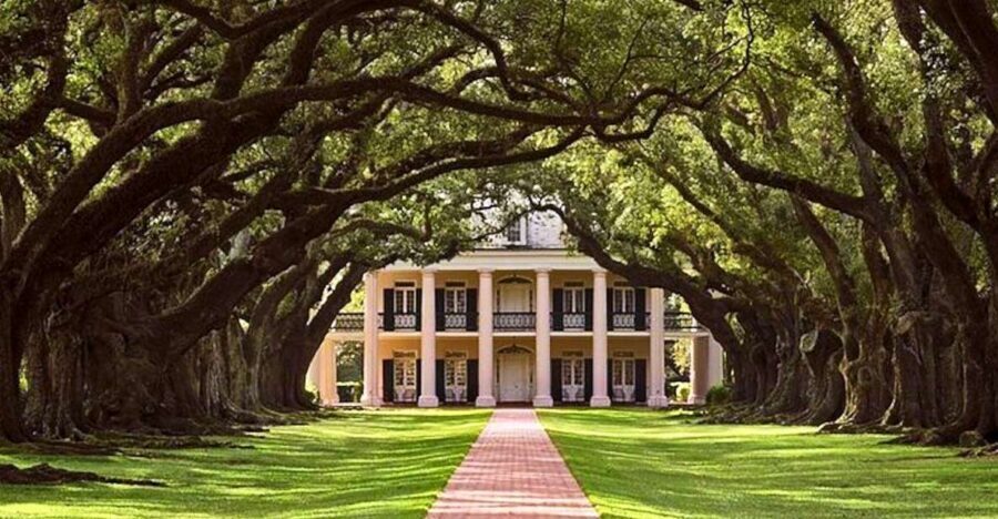 New Orleans: Swamp Boat Ride and Historic Plantation Tour - Who Will Love This Tour?