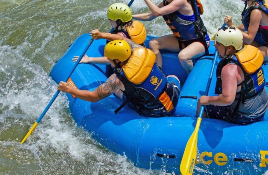 New River Gorge Whitewater Rafting - Lower New Full Day - The Allure of Whitewater in the New River Gorge