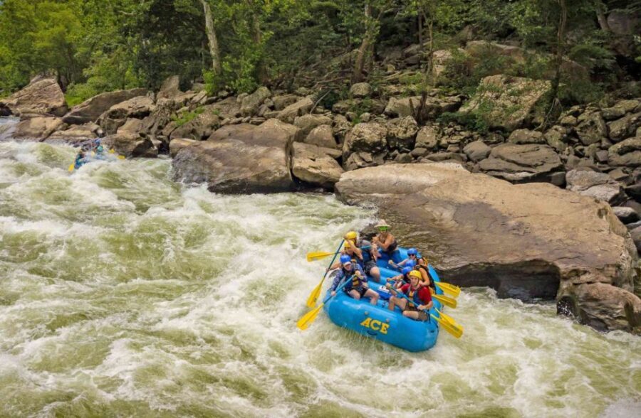 New River Gorge Whitewater Rafting - Lower New Half Day - The Itinerary Breakdown