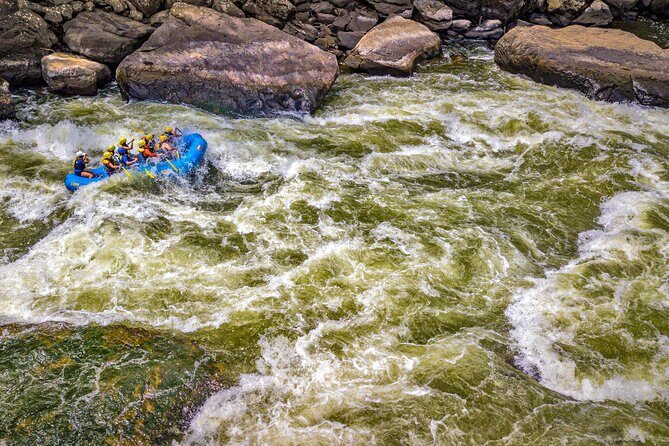 New River Gorge Whitewater Rafting, WV - Lower New Full Day - An In-Depth Look at the Experience