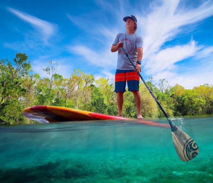 New Smyrna: Half-Day Guided SUP or Kayak Waterways Tour - Exploring the Waterways of New Smyrna