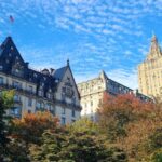 New York City: All Day Bike Rental and Central Park Picnic - The Picnic Experience: Tasty, Thoughtful, and Flexible