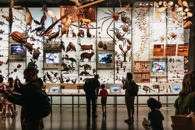New York City: American Museum of Natural History Ticket - Who Should Visit?