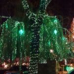 New York City: Dyker Heights Christmas Lights Tour - The Brooklyn Neighborhood: Dyker Heights