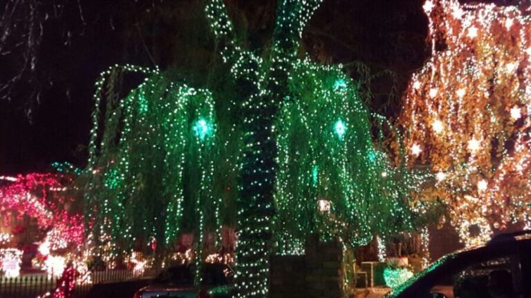 New York City: Dyker Heights Christmas Lights Tour - The Brooklyn Neighborhood: Dyker Heights