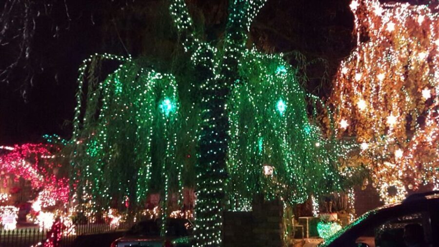 New York City: Dyker Heights Christmas Lights Tour - The Brooklyn Neighborhood: Dyker Heights