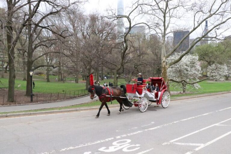 New York City: Horse Carriage Ride through Central Park - Who Will Love This Experience?