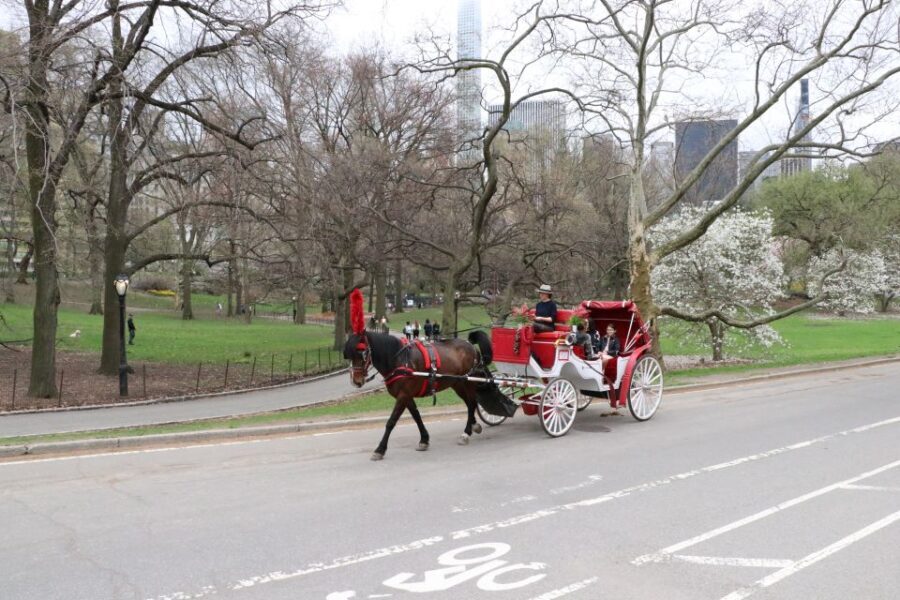 New York City: Horse Carriage Ride through Central Park - Who Will Love This Experience?