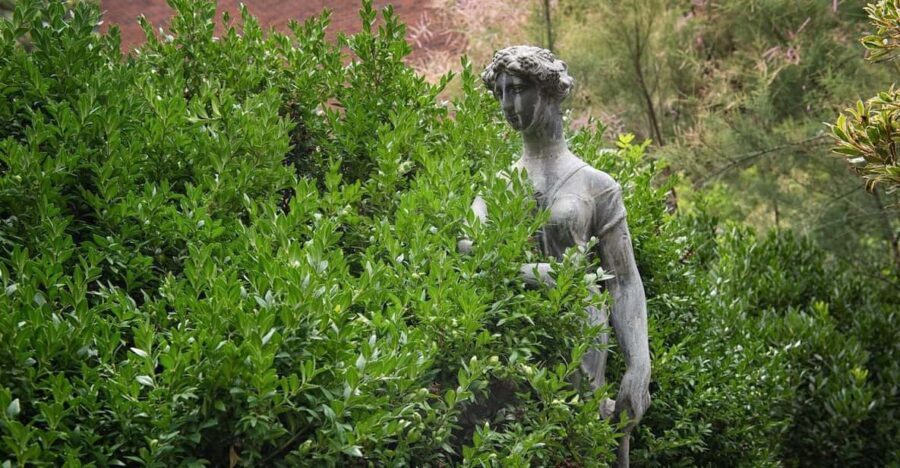 New York City: The Garden Photo Tour - The Details That Matter