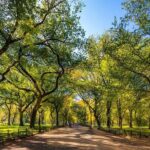 New York City with Metropolitan Museum Half Day Walking Tour - Final Thoughts