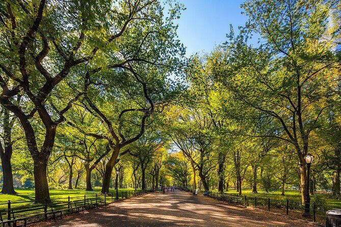 New York City with Metropolitan Museum Half Day Walking Tour - Final Thoughts