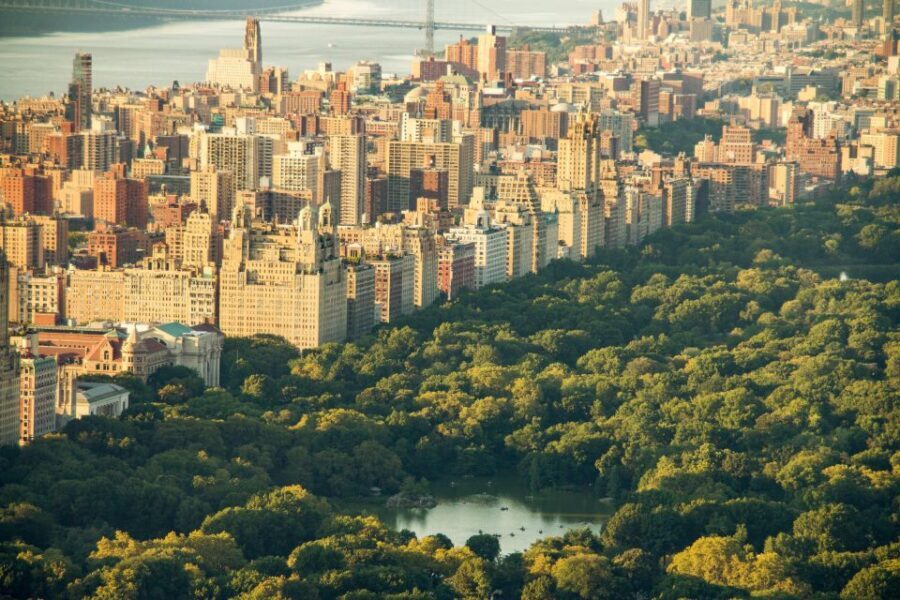 New York Edge Observation Deck & Little Island Pier 55 tour - Detailed Review: What Really Makes This Tour Shine