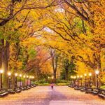 New Yorks Iconic Central Park: A Self-Guided Audio Tour - Who Would Enjoy This Tour?