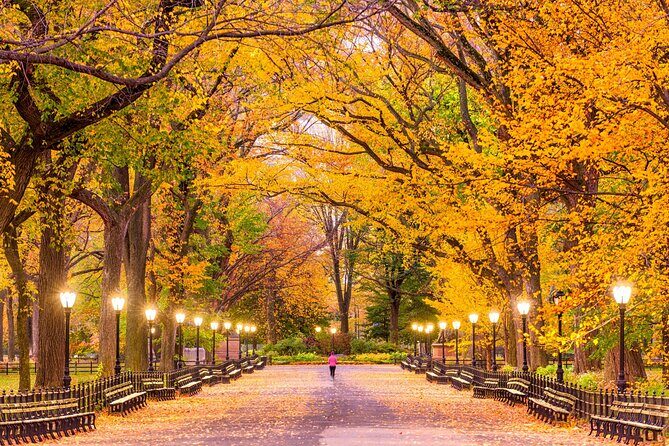 New Yorks Iconic Central Park: A Self-Guided Audio Tour - Who Would Enjoy This Tour?