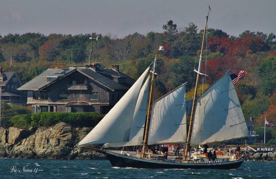 Newport: Morning Mimosa Sail aboard Schooner Aquidneck - The Itinerary in Detail