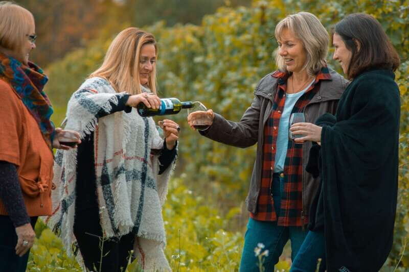 Niagara, Canada: Half-Day Winery Tour with Tastings - Guides and Atmosphere