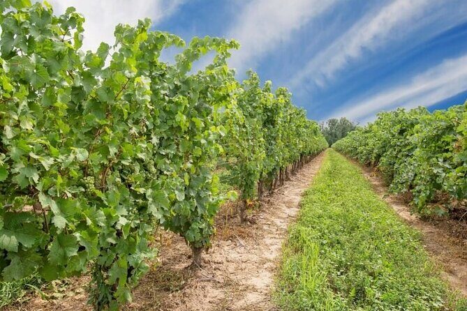 Niagara County Wine Tour and Tasting - What the Tour Includes and Excludes