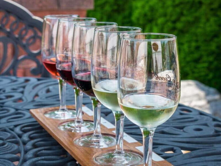 Niagara Falls: Public Niagara Wine Tour with Transportation - Who Is This Tour Best For?