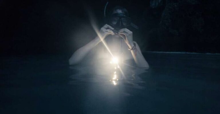 Night Time Snorkel At Turtle Town With Lights And Stars - Who Should Consider This Tour?