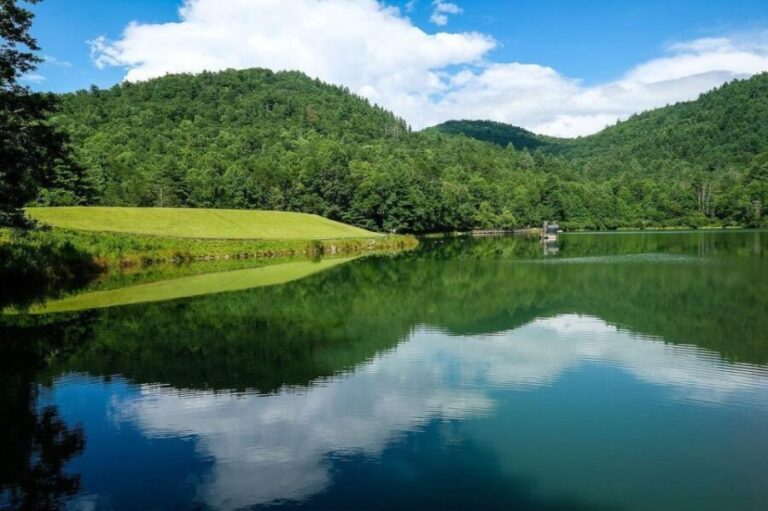 North Atlanta: Black Rock Mountain Park Self-Guided Tour - What’s Included and What to Know Before You Go
