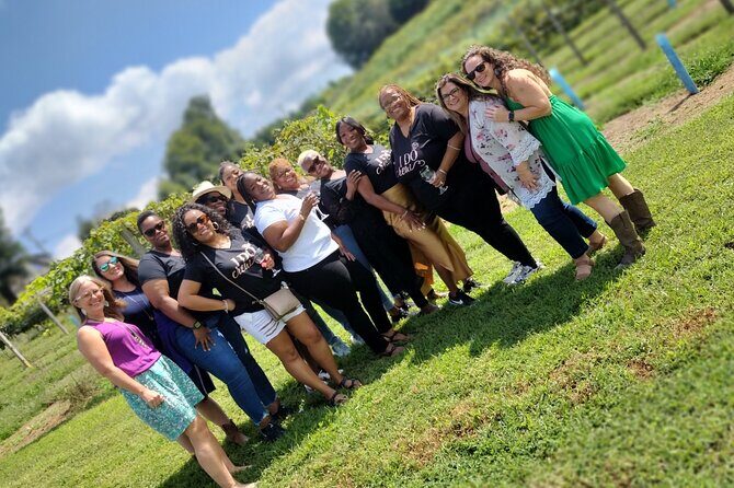 North Georgia Mountains Three Vineyard Wine Tasting Tour - Final Thoughts: Who’s the Tour Best For?