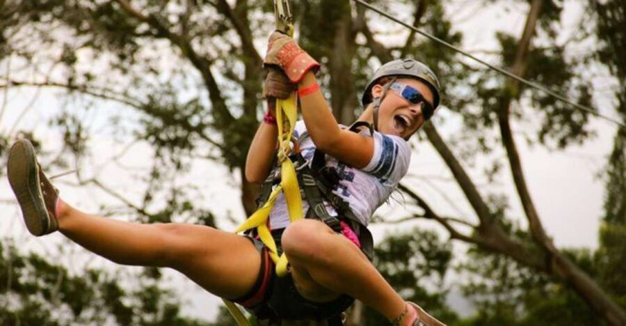 North Maui: 7 Line Zipline Adventure with Ocean Views - What to Know Before You Go