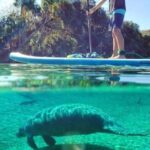 North Miami: Nature & Island Exploration on SUP/Kayak - Value and Pricing: What You’re Getting