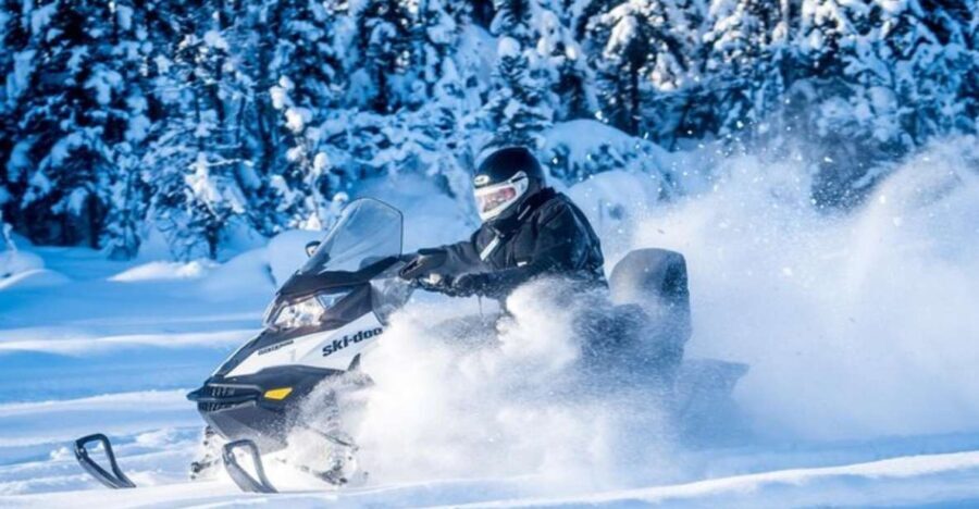 North Pole Alaska: Guided Fairbanks Snowmobile Tour - Who Should Book This Tour?