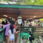 North Shore Dole Pineapple Farm Tour - The Sum Up