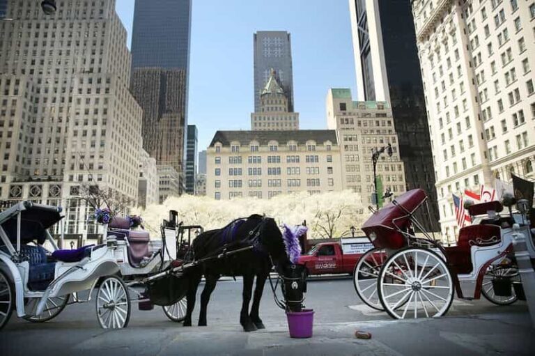NYC: Central Park Christmas Lights Horse-Drawn Carriage Ride - What’s Included and Practical Tips