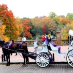 NYC: Central Park Horse-Drawn Carriage Ride (up to 4 Adults) - The Experience: Comfort, Knowledge, and Scenic Beauty