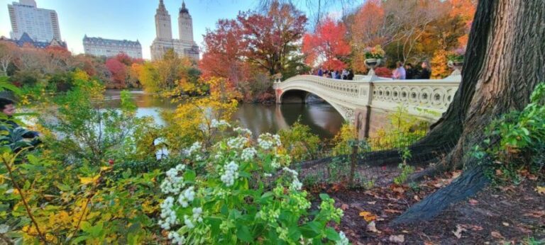 NYC: Central Park Secrets and Highlights Walking Tour - Practical Details and What to Expect